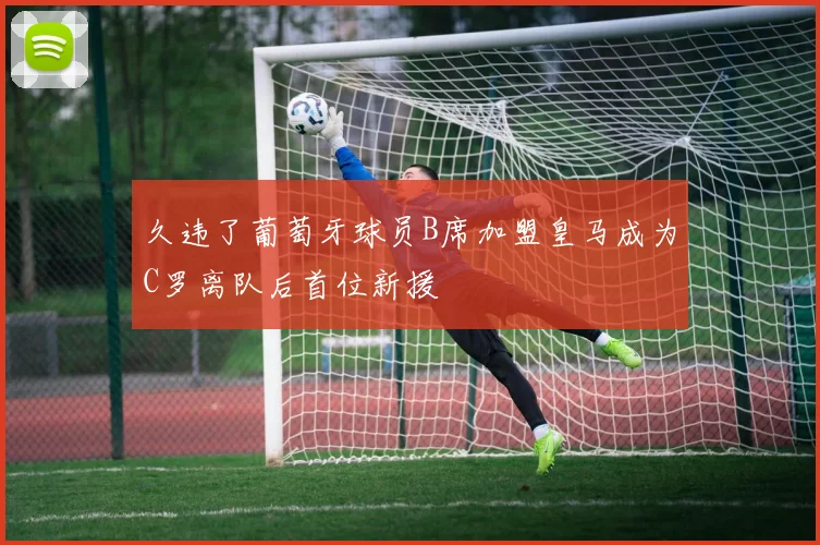久违了葡萄牙球员B席加盟皇马成为C罗离队后首位新援